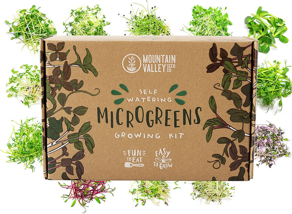 Self-Watering Indoor Microgreens Kit – Complete Soil-Based Growing Set for Vegetable and Herb Microgreens – Includes Black Sunflower, Pea Shoots, Swiss Chard, and Cilantro Seeds